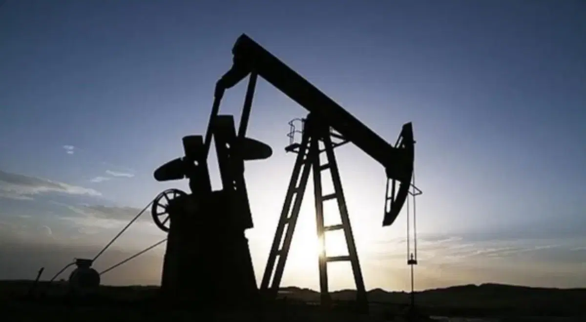 Brent crude jumps to $115.7 per barrel amid supply disruptions