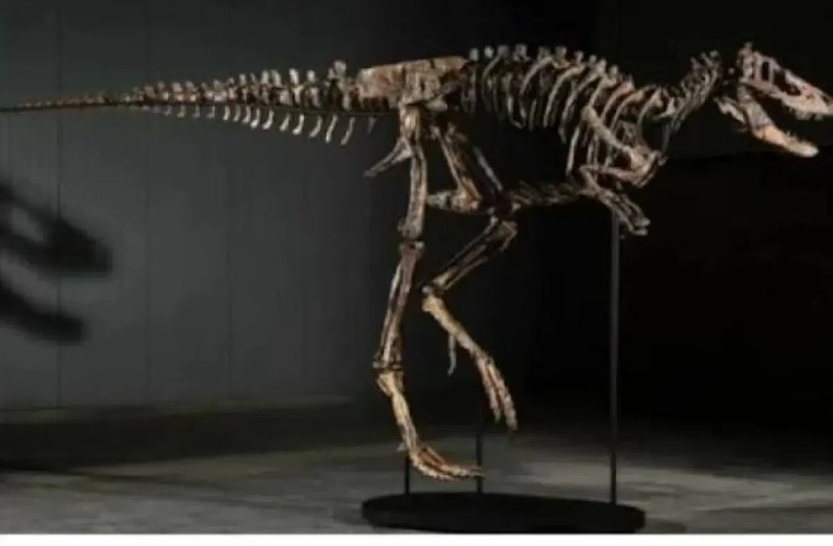 Dinosaur skeleton sold for $47.3 million