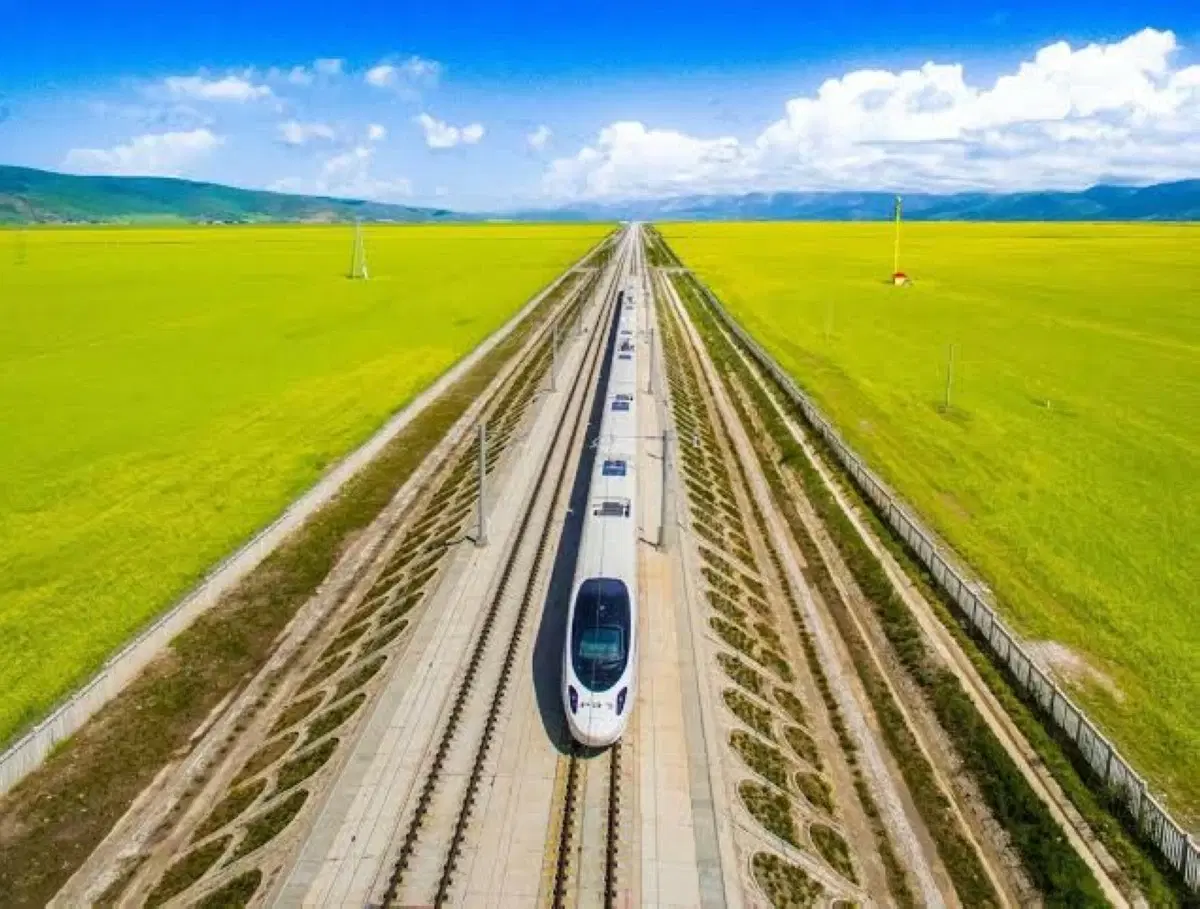 Behind the speed.. How do trains protect their passengers?